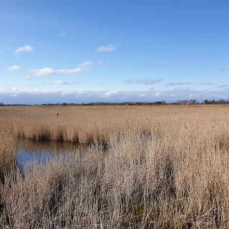 5 Person In Casa de Férias Otterup